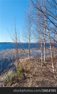 Russian landscape in the spring forest. Spring flooding on the lake