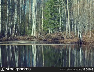Russian landscape.Spring flooding on the river,Reflection of trees in water.