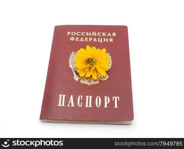 Russian passport and flowers on a white background