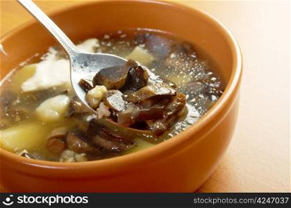 Russian sauerkraut soup with mushrooms and pearl barley.home made mushroom soup