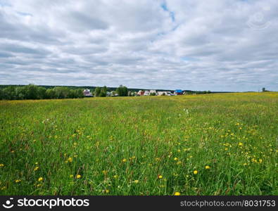 Russian spring meadow with flowers.Arkhangelsk region. Russian North.