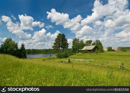 Russian summer meadow.Arkhangelsk region, Russia