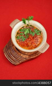 Russian ukraine cuisine - borsch dish on red background