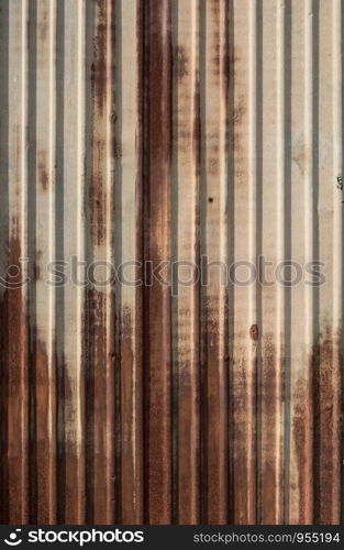 Rusted green zinc fence in sunny day.