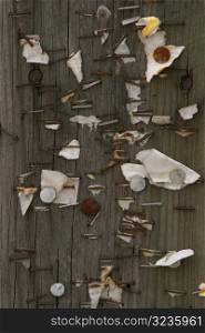 Rusted nails and staples in wood