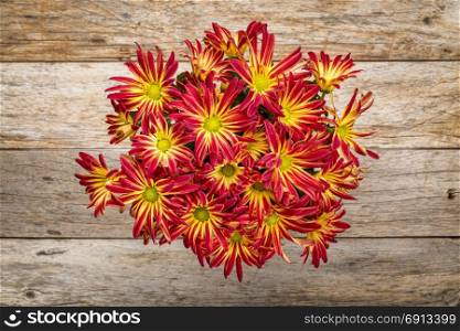 rustic barn wood background with a pot of fall mums