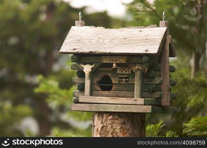 Rustic Birdhouse Amongst Pine Trees