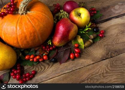 Rustic fall abundance cornucopia concept with apple, pear, red viburnum berry, acorn and three orange pumpkins, copy space