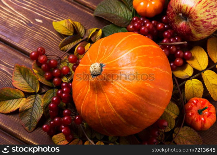 Rustic fall decor with pumpkins, yellow leaves, apple, viburnum berries