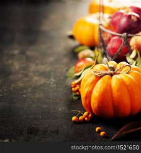 Rustic fall greeting card background with pumpkins, berries, apples, copy space, rustic table. Rustic fall greeting card background with pumpkins, berries, apples