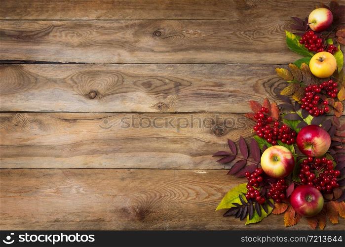 Rustic fall greeting card background with red green yellow leaves, apples, viburnum berries, copy space