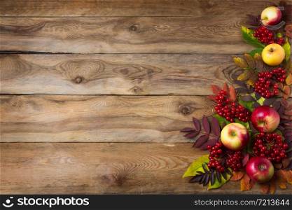 Rustic fall greeting card background with red green yellow leaves, apples, viburnum berries, copy space