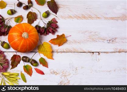 Rustic fall greeting card with pumpkin, red green yellow leaves, acorns on the white painted wood background, copy space