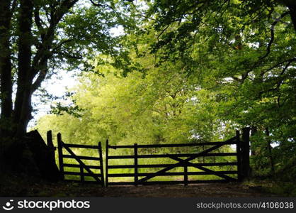 Rustic gates along a footpath