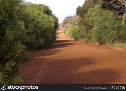 Rustic road near Pardana and Stokes Bay on Kangaroo Island in South Australia.