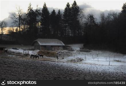 Rustic scenery with horses and stable, surrounded by forest and snow, at sunrise, on a cold day in December, in Bled, Slovenia.