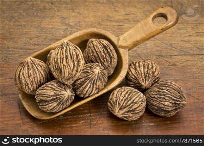 rustic scoop of black walnuts (in shells) against grunge wood table