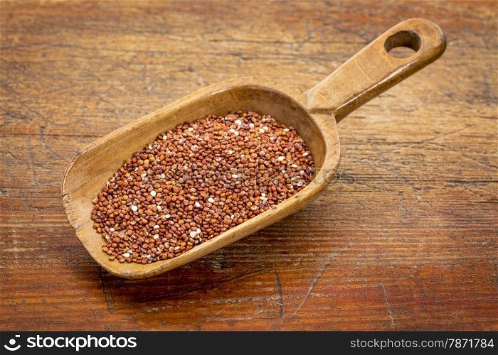 rustic scoop of gluten free red quinoa grain against grunge wood table