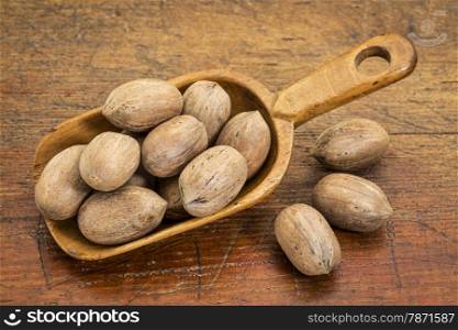 rustic scoop of pecan nuts (in shells) against grunge wood table