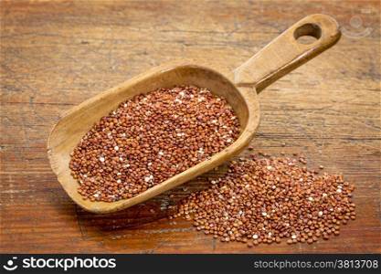 rustic scoop of red quinoa grain against grunge wood table