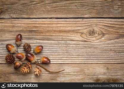 rustic weathered wood background with acorns and cones fall decoration