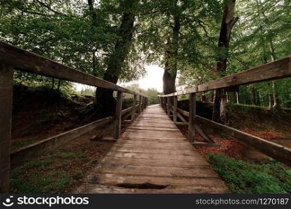 rustic wooden bridge in the green forest in the Carpathian mountains.. rustic wooden bridge in the green forest in the Carpathian mountains