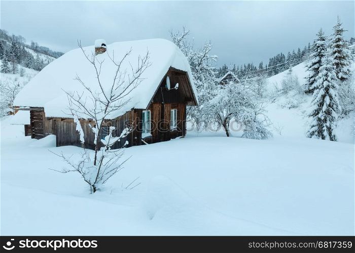 Rustic wooden house in snowdrifts on the slopes in winter Ukrainian Carpathian Mountains in cloudy weather.