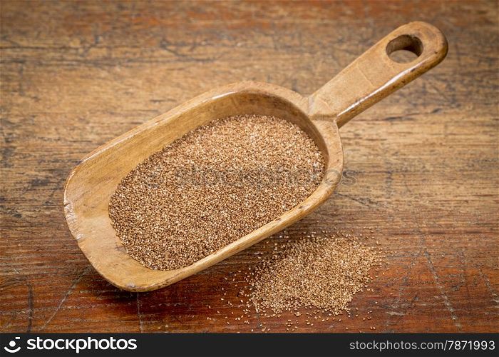 rustic wooden scoop of gluten free teff grain against grunge wood background