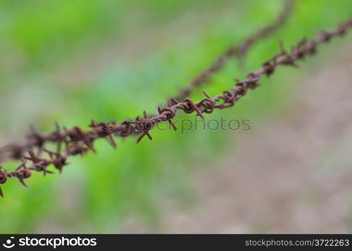 Rusty barbed wire on green background