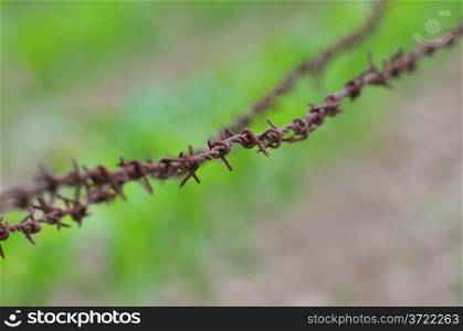 Rusty barbed wire on green background
