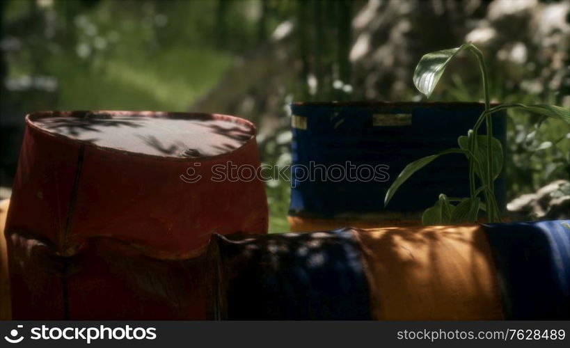 Rusty barrels in green forest illustrates the pollution of environment by oil spills. Rusty barrels in green forest