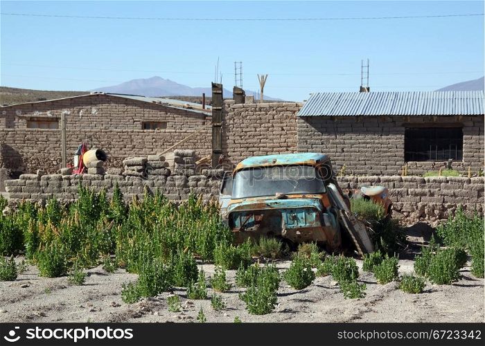 Rusty car in the garden of village, Bolivia