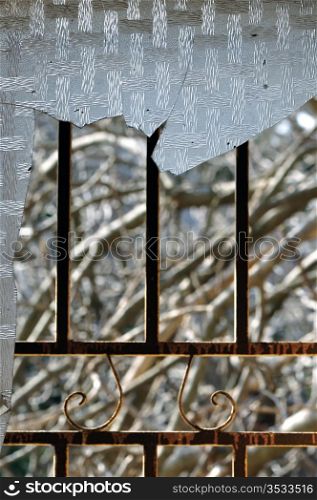 Rusty metal door frame and branches abstract background. Focus on broken glass.