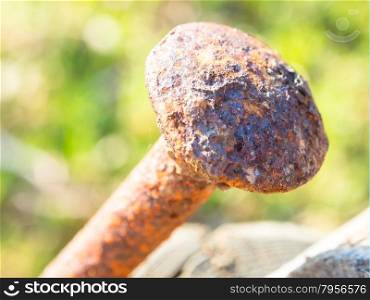 rusty nail wood. Close up of a head of a rusty nail