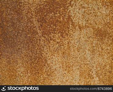 rusty surface. closeup of a rusty weathered steel door