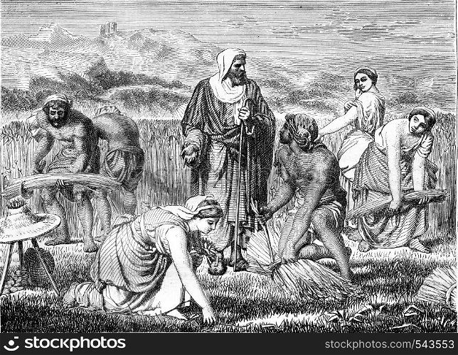 Ruth and Boaz, painting by Glayre, vintage engraved illustration. Magasin Pittoresque 1858.