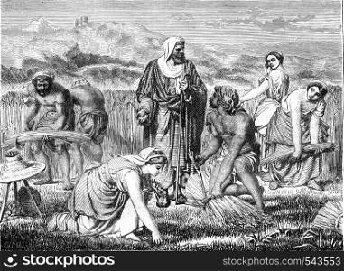 Ruth and Boaz, painting by Glayre, vintage engraved illustration. Magasin Pittoresque 1858.