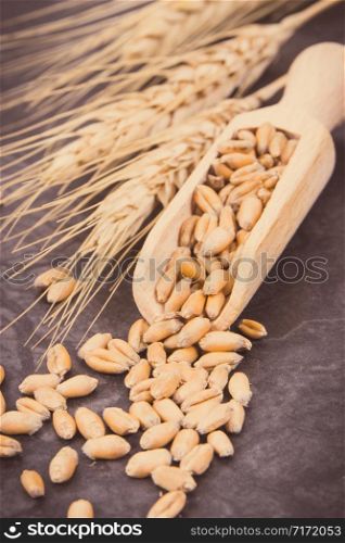 Rye or wheat grains with wooden spoon and ears of cereal. Vintage photo. Rye or wheat grains with spoon and ears of cereal. Vintage photo