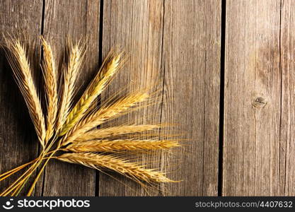 Rye spikelets on wooden background