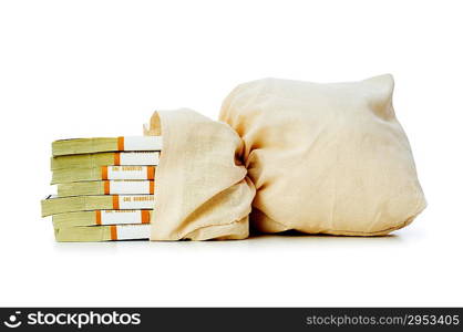 Sacks of money isolated on the white