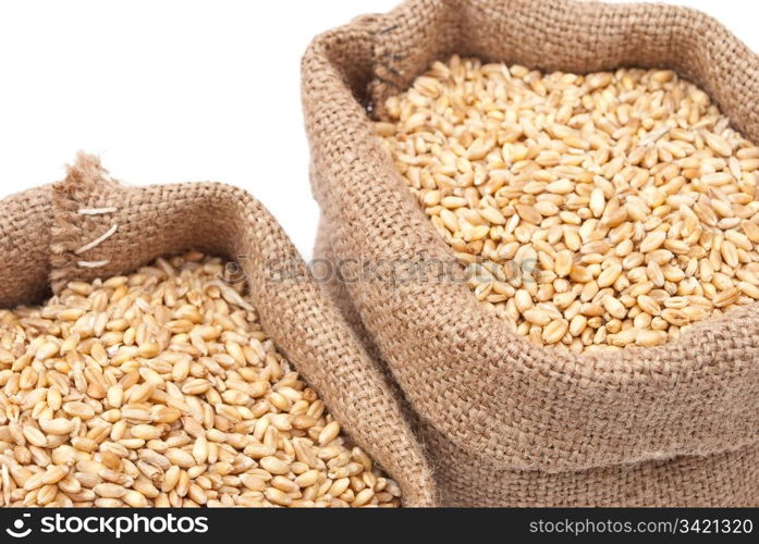 Sacks of wheat grains