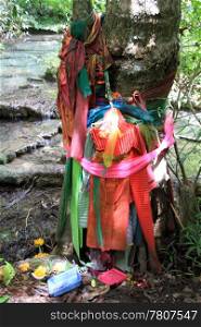 Sacral tree with clothes near river in Erawan national park, Thailand