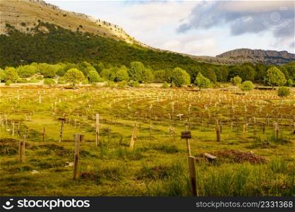 Sad Hill Cemetery in Burgos Spain. Tourist place, film location where the last sequence of the western film The Good, the Bad and the Ugly was filmed.. Sad Hill Cemetery in Spain. Tourist place