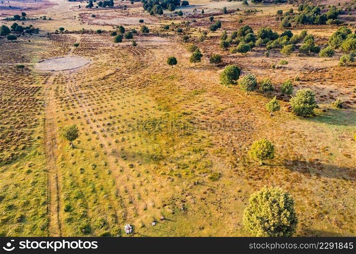 Sad Hill Cemetery in Burgos Spain. Tourist site, film location where the last sequence of the western film The Good, the Bad and the Ugly was filmed. Aerial view. Sad Hill Cemetery in Spain. Tourist place