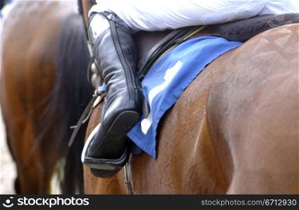 saddle and jockey&acute;s boots
