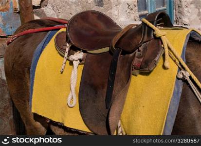 Saddle on a donkey in Santorini Greece