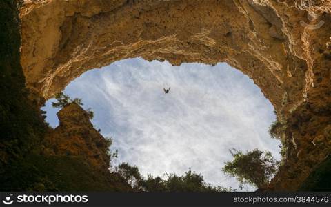 saegull bird flying between the rocks in algarve portugal