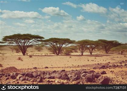 Safari and extreme travel in Africa. Drought  mountain landscape with dust off road in offroad car expedition.