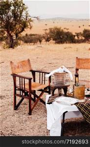 Safari luxury outdoor picnic with African style wooden director chair with wine bucket on table - African outdoor dining in Serengeti savanna forest. Tanzania