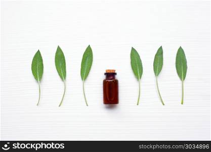 Sage essential oil with sage leaves on white.. Natural sage essential oil with sage leaves on white background.